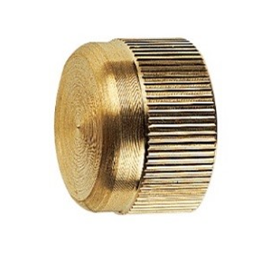 1" Brass Manifold Cap