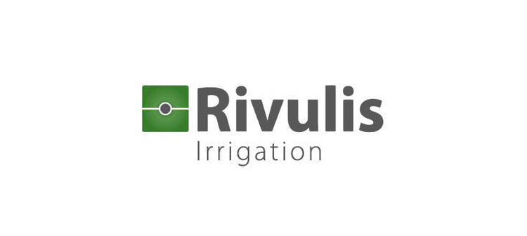 Rivulis